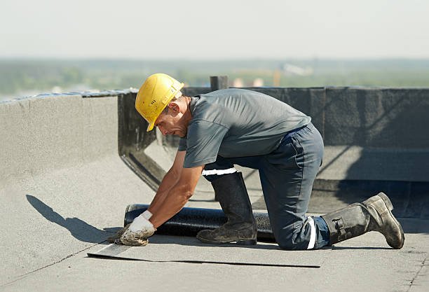 Best Insulation Maintenance and Repair in Greenback, TN